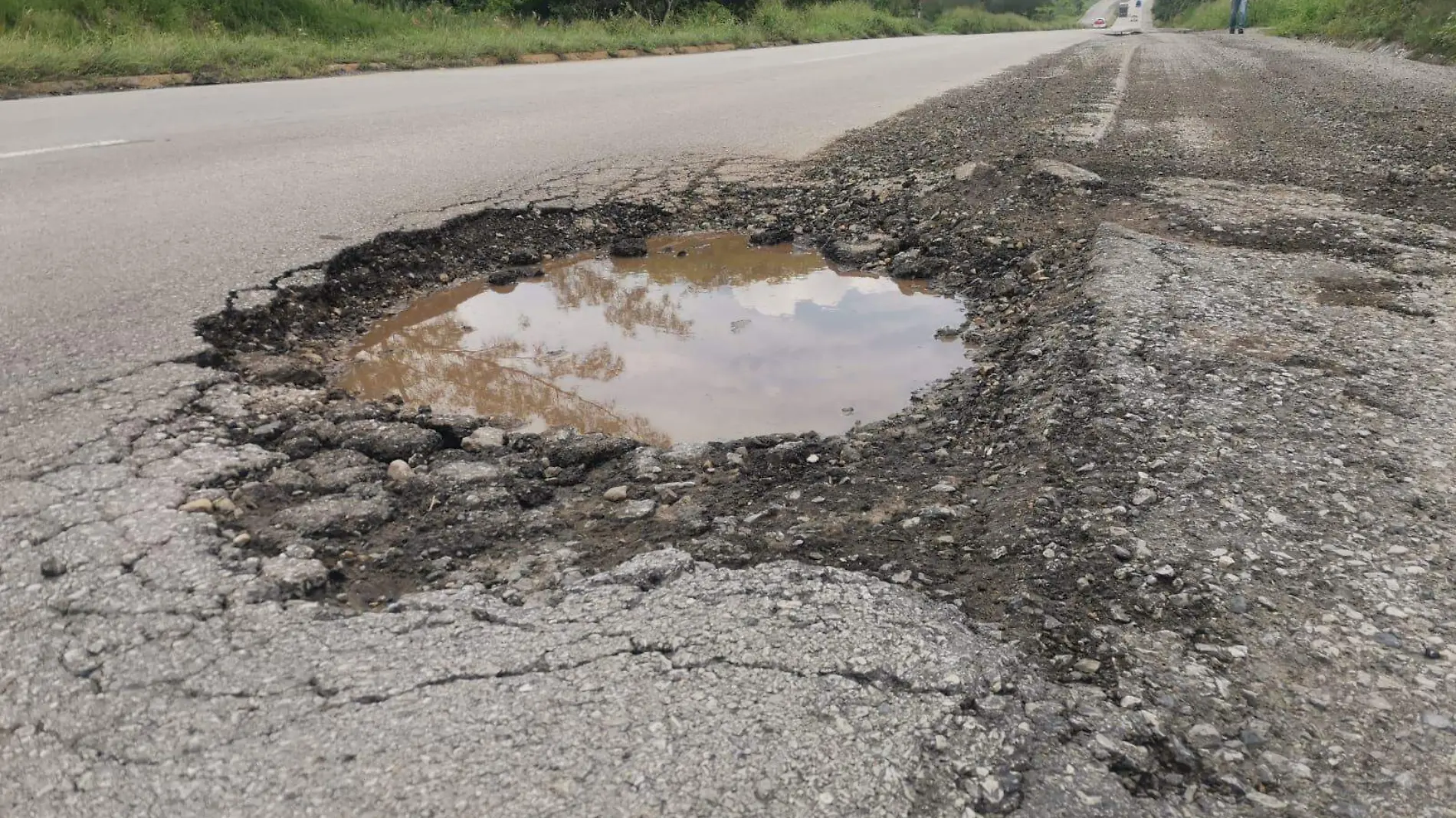 Señalan que Capufe tiene abandonada esta parte de la autopista del Puente Tampico